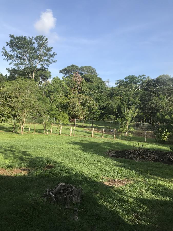 Villa Segura Manuel Antonio, Quepos Zewnętrze zdjęcie